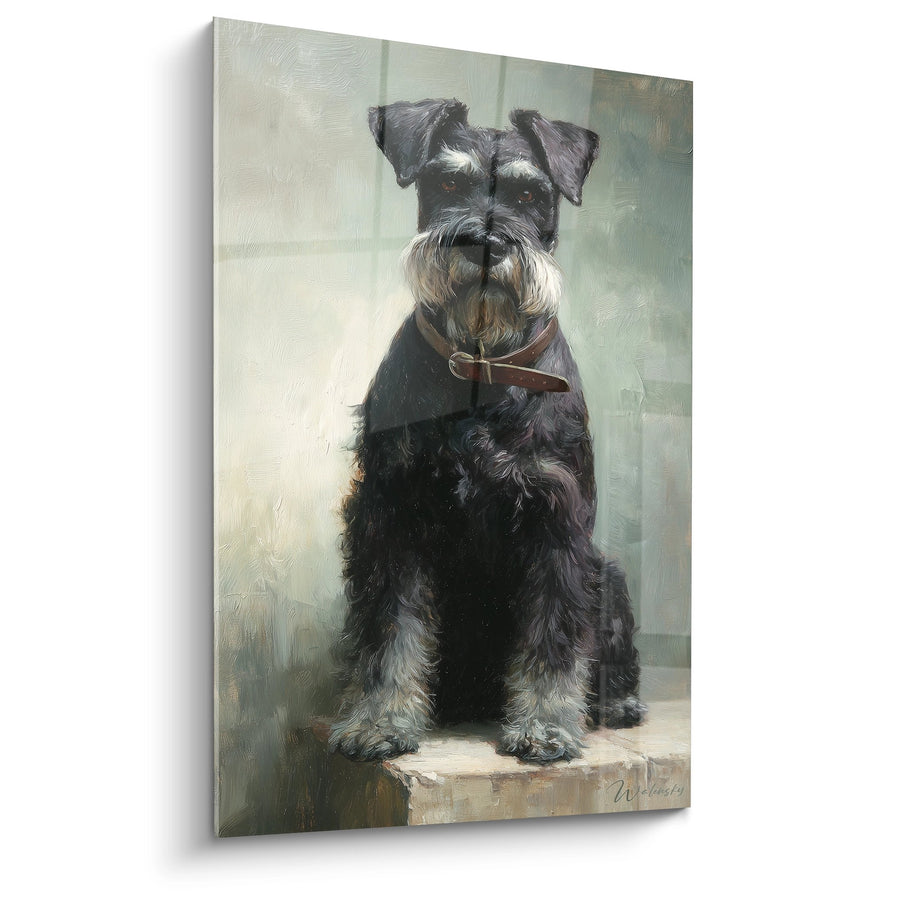 Tableau Schnauzer Gris au Collier de Cuir - Portrait Canin Aristocratique - Edition Schnauzer