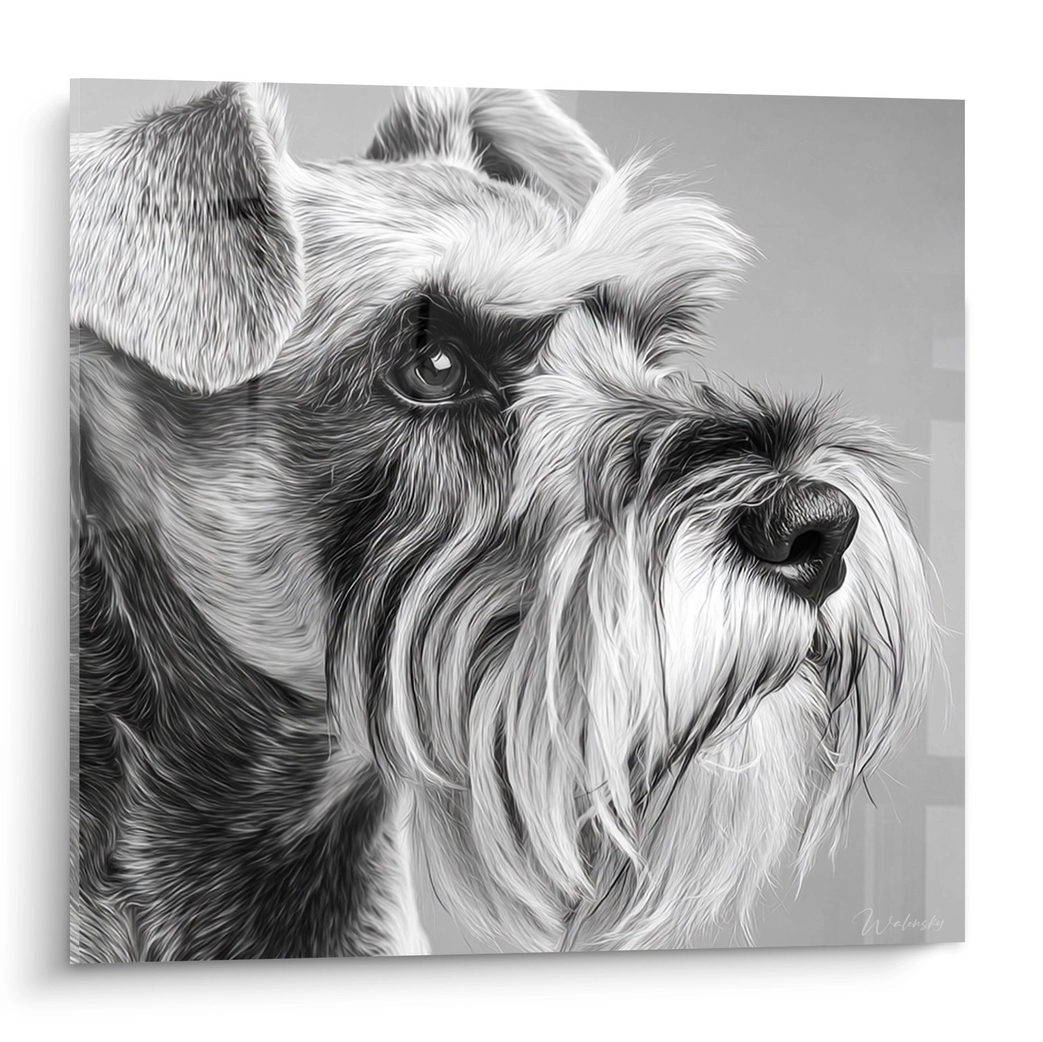 Portrait réaliste de Schnauzer en noir et blanc avec regard expressif et pelage détaillé