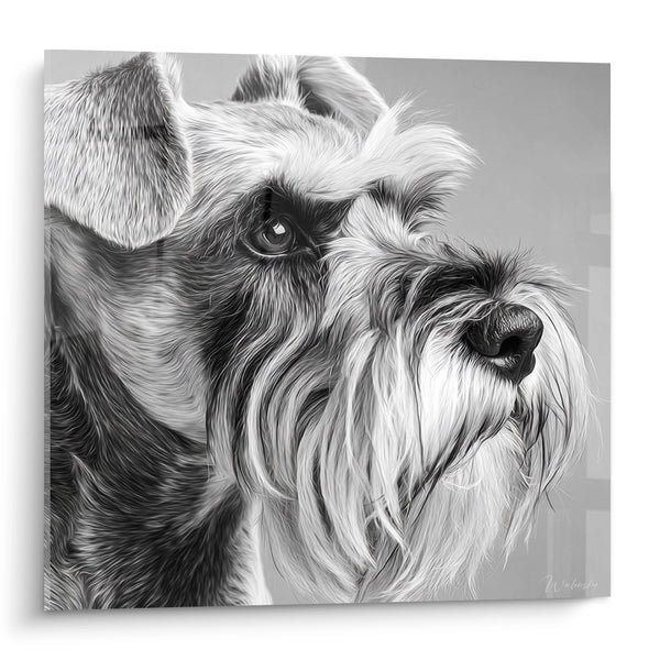 Cuadro Retrato de Schnauzer en Blanco y Negro - Mirada Intensa - Edición Schnauzer