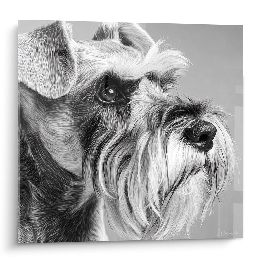Tableau Portrait de Schnauzer en Noir et Blanc - Regard Intense - Edition Schnauzer