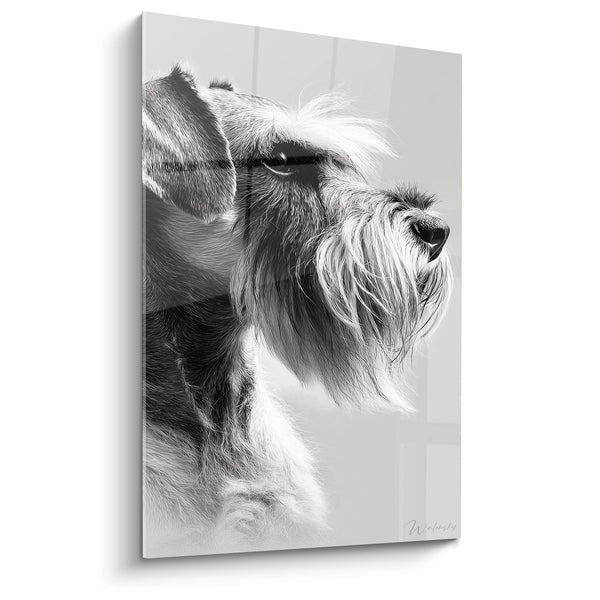 Cuadro Schnauzer Negro y Blanco Retrato Elegante - Mirada Noble - Edición Schnauzer