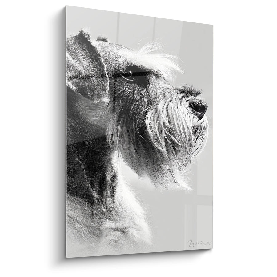 Tableau Schnauzer Noir et Blanc Portrait Élégant - Regard Noble - Edition Schnauzer