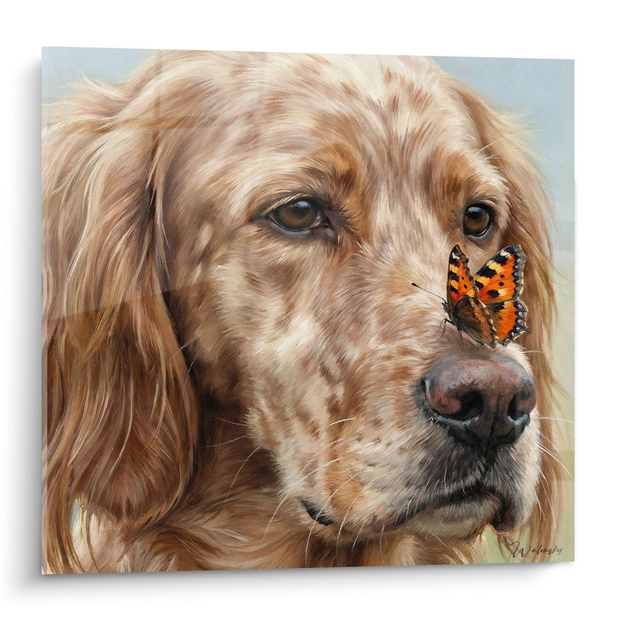 Tableau Chien Doré avec Papillon Orange - Tendresse Naturelle - Edition Setter Anglais