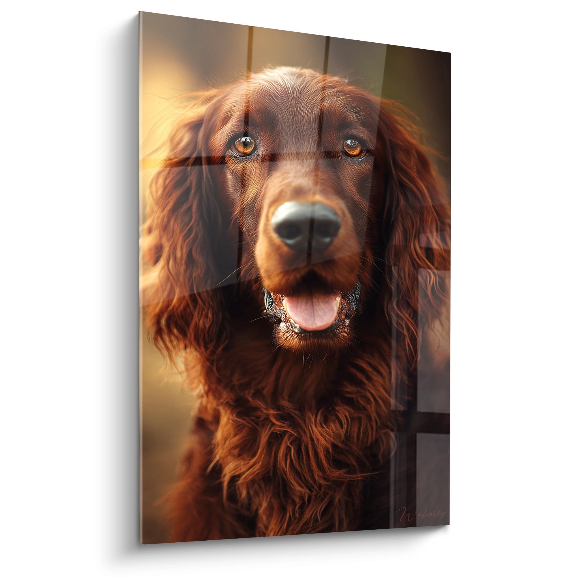 Portrait de Setter Irlandais aux tons cuivres avec yeux ambes expressifs sur fond lumineux doux tableau mural decoratif