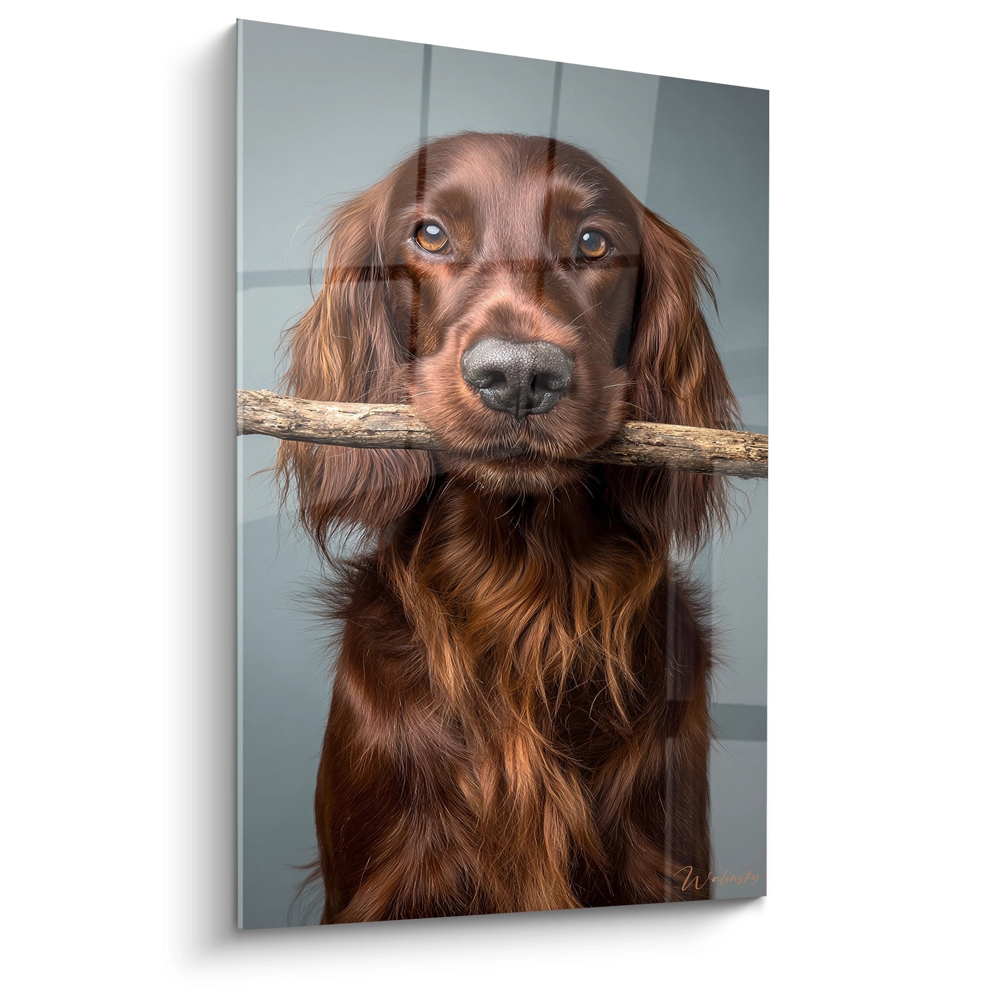 Portrait hyperréaliste de Setter Irlandais roux aux yeux dorés tenant un bâton, fond gris neutre