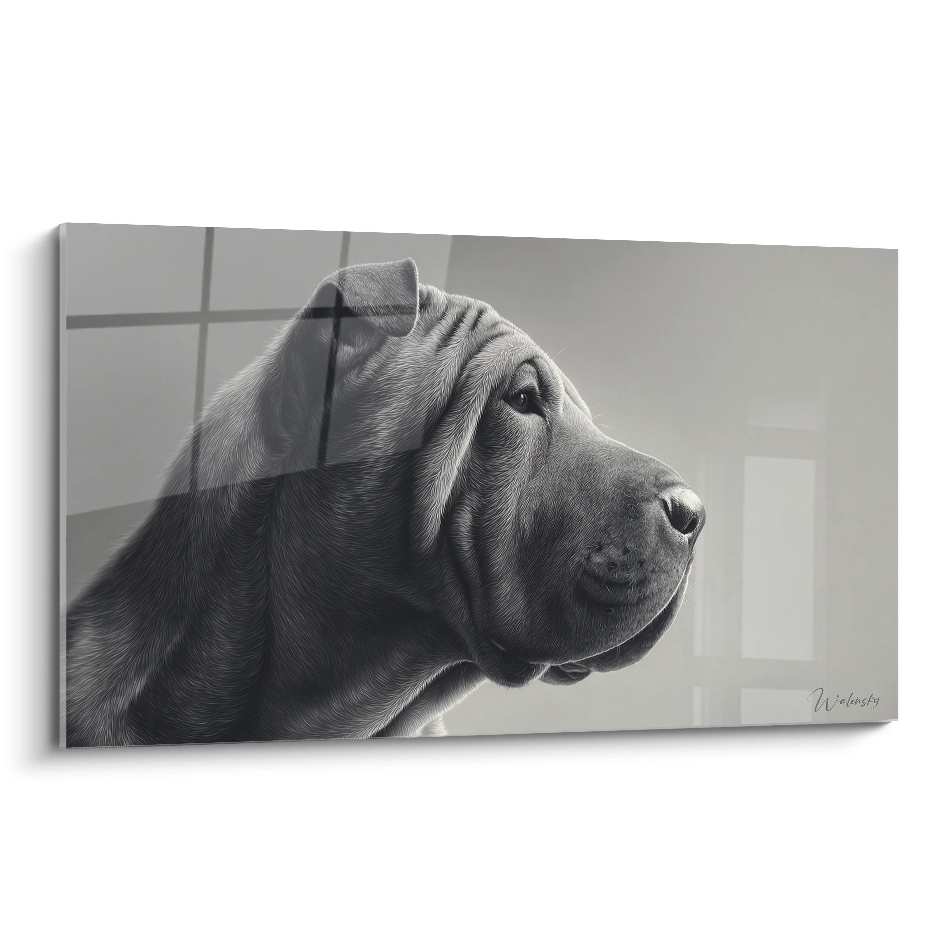Portrait monochrome Shar Pei profil contemplation lumiere naturelle art mural decoration