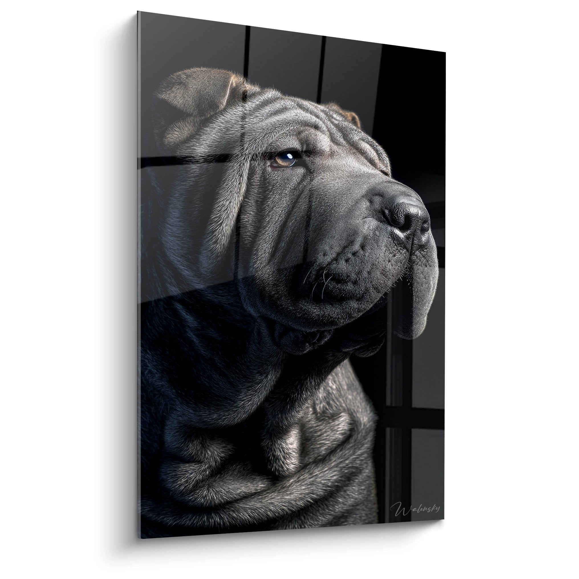 Portrait artistique d'un Shar Pei aux yeux bleus dans un éclairage dramatique avec des tonalités grises contemplatif