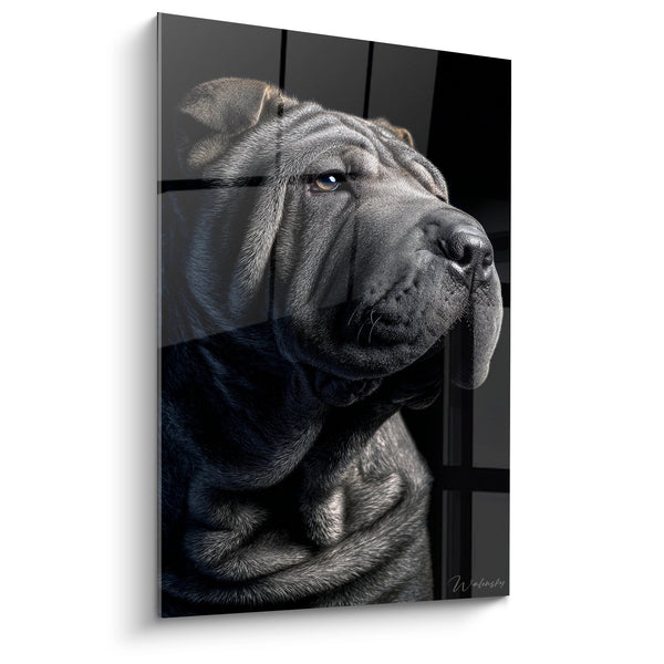 Cuadro Retrato Shar Pei de Ojos Azules en la Sombra - Mirada Contemplativa - Edición Shar Pei