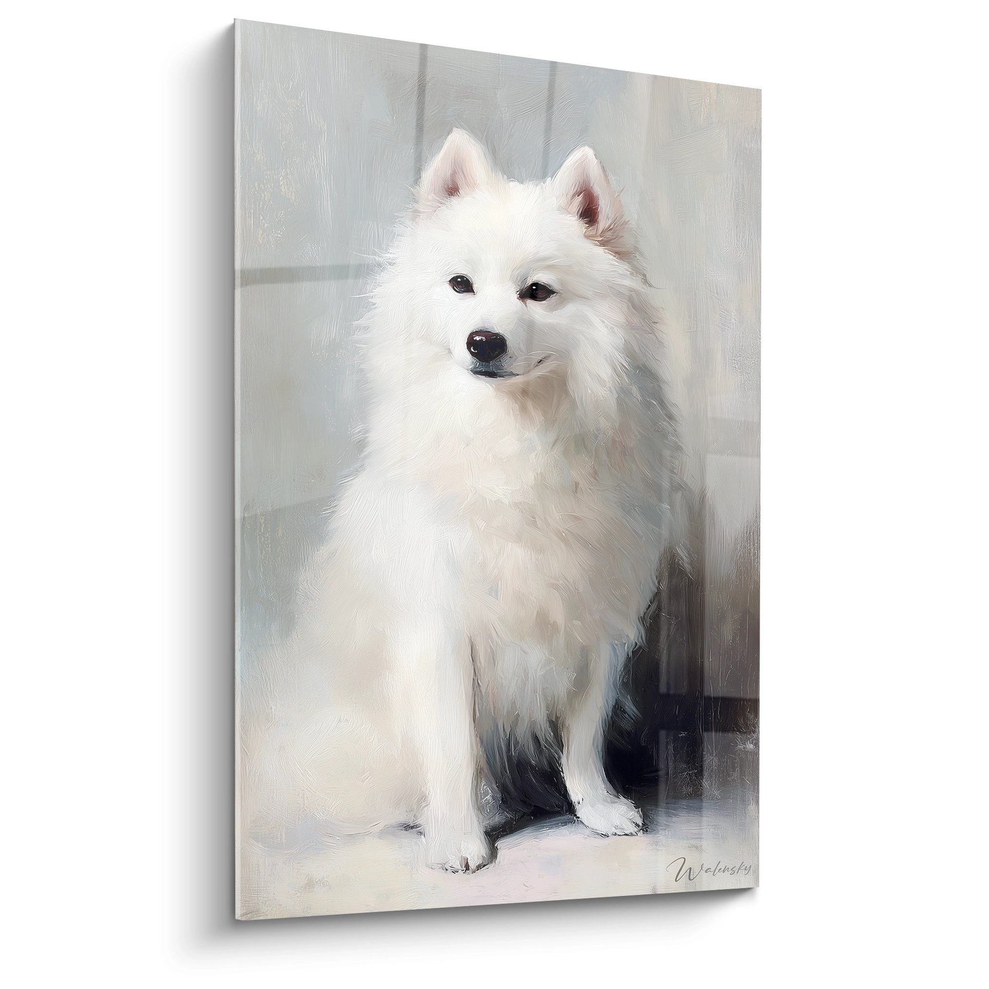 Portrait élégant de Spitz Japonais blanc assis sur fond gris nuancé, regard expressif et pelage soyeux