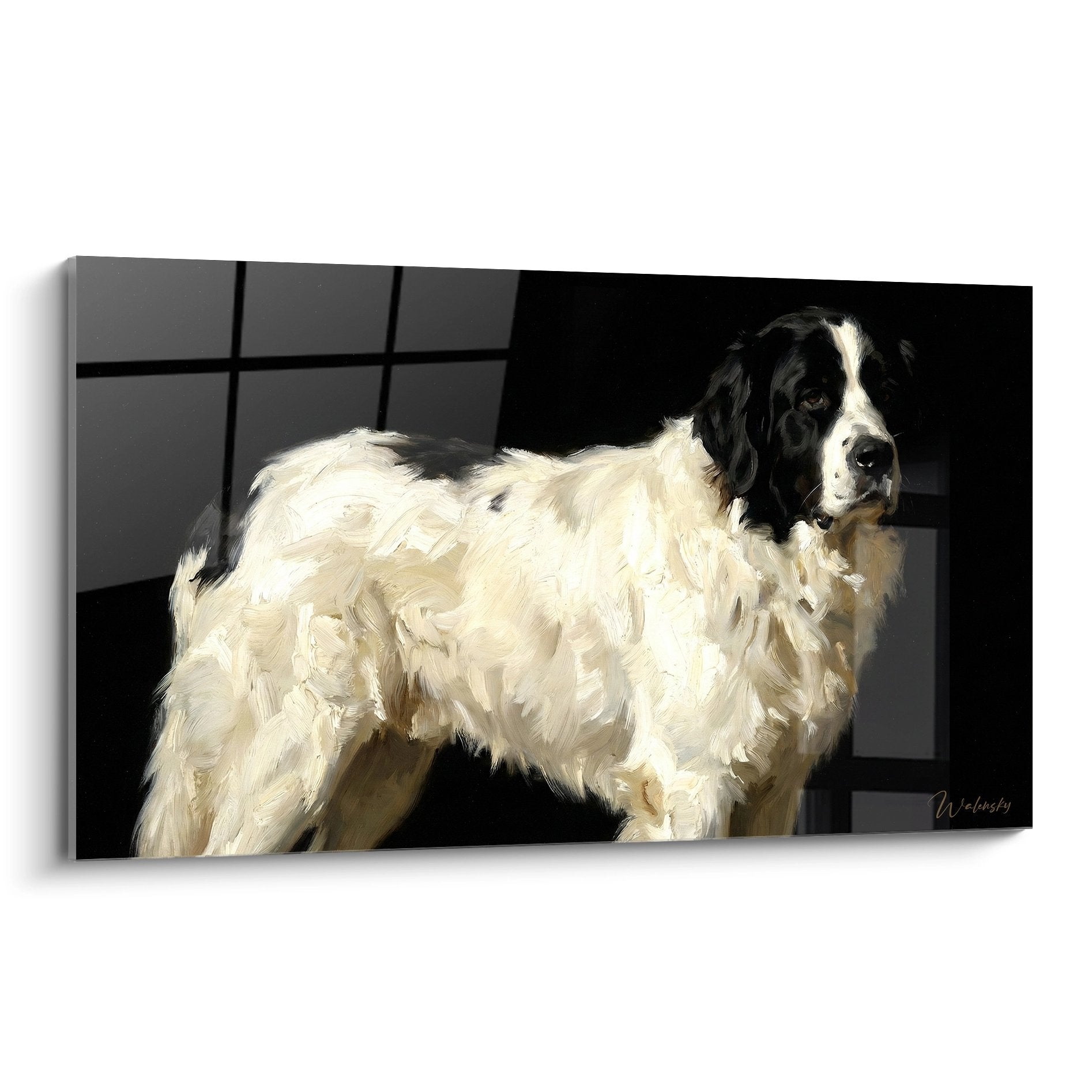 Portrait artistique Terre Neuve noir et blanc sur fond sombre, pelage long et regard expressif