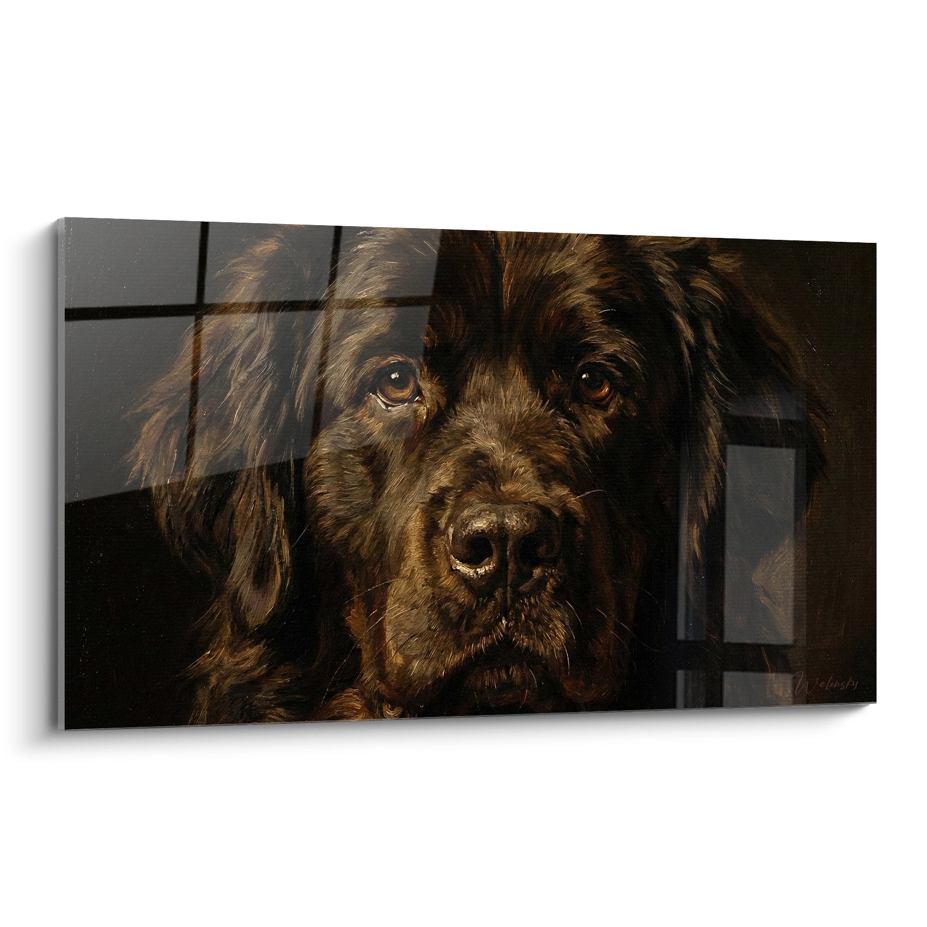 Portrait émouvant d'un chien Terre Neuve aux yeux ambrés derrière un grillage, regard mélancolique, tons bruns chauds