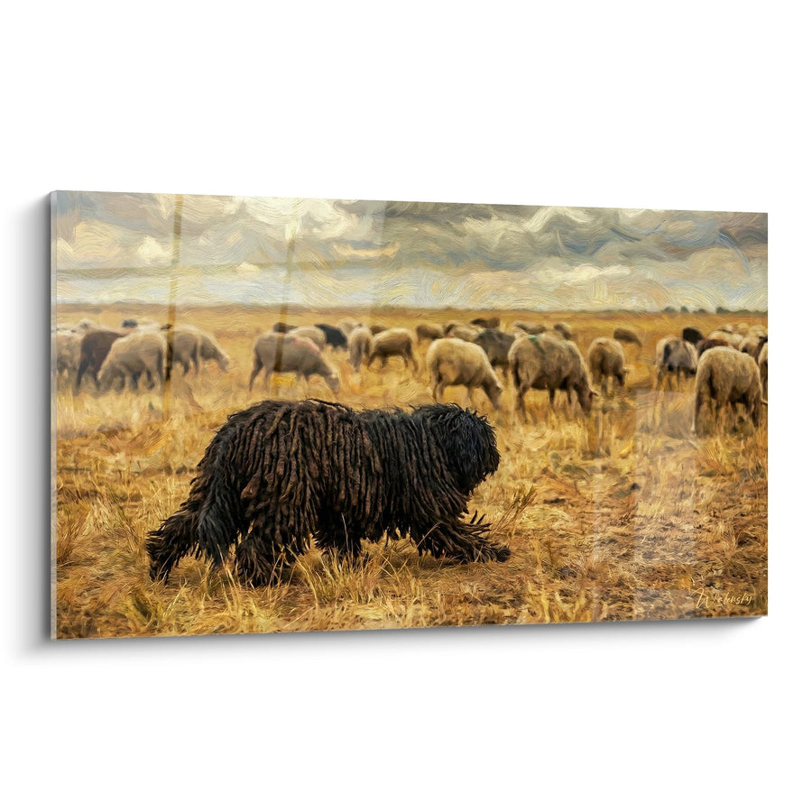 Tableau Puli Noir aux Longs Poils dans Prairie Dorée - Berger des Plaines - Edition Puli