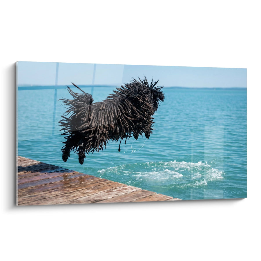 Tableau Chien Puli Sautant dans l'Eau - Éclat de Liberté - Edition Puli