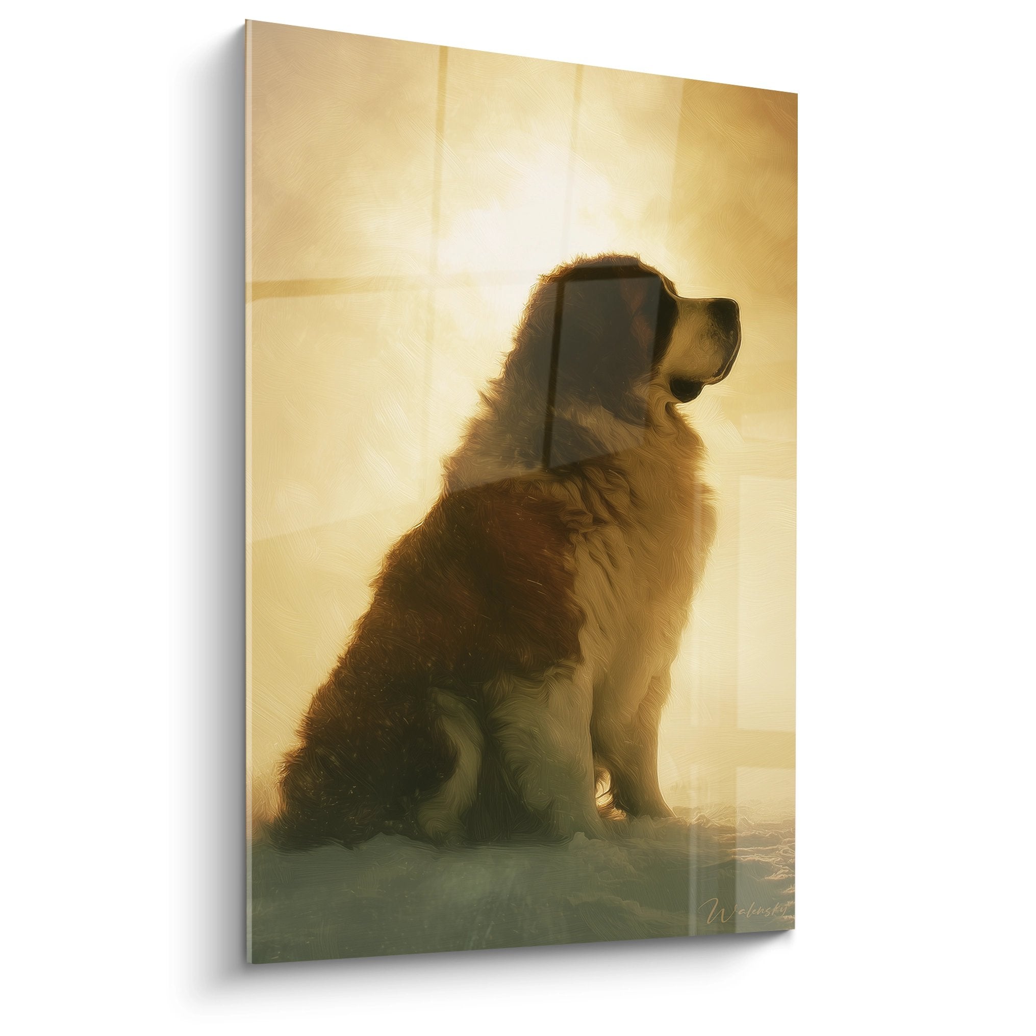 Saint Bernard silhouette doree contre-jour coucher soleil tableau art canin lumineux contemplation
