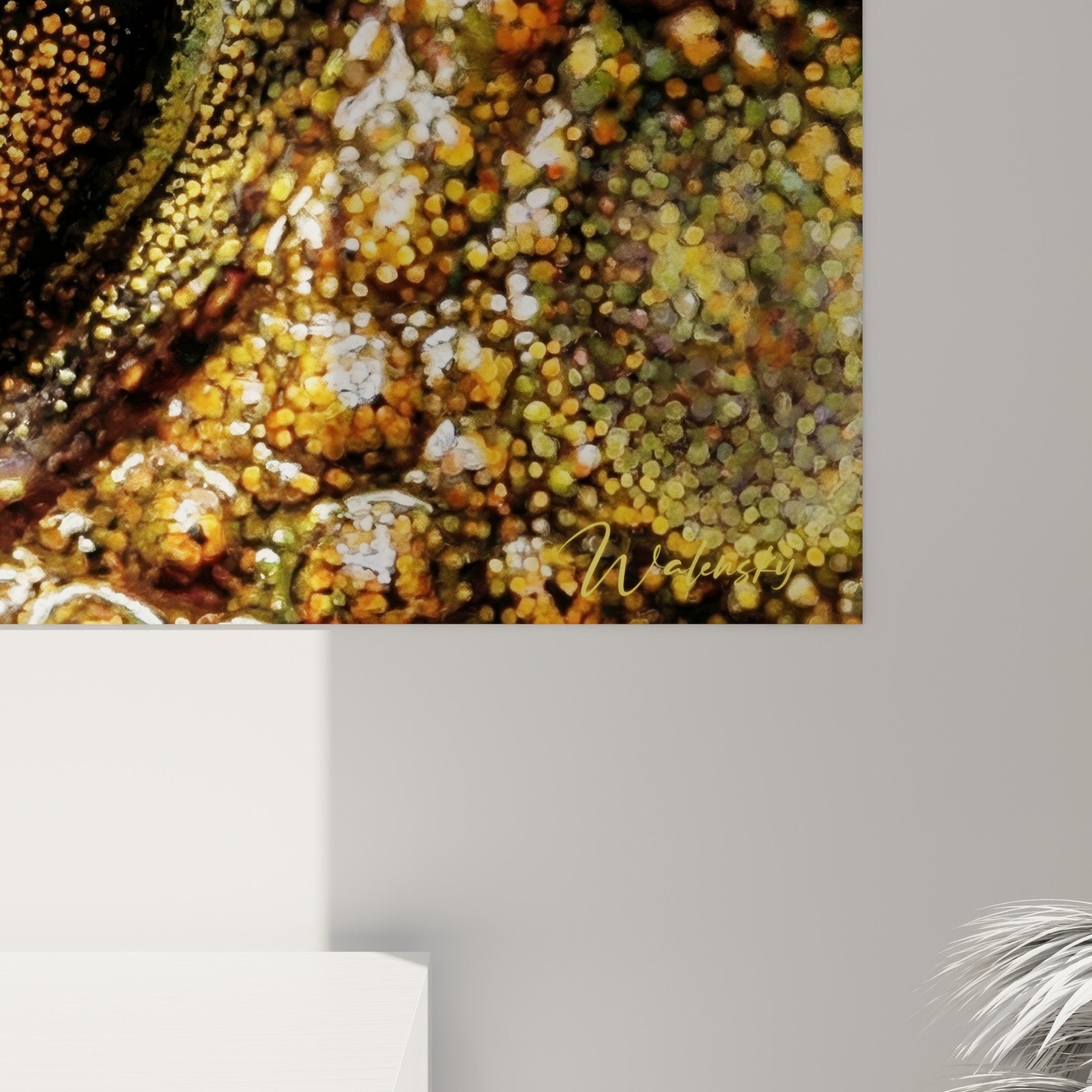 Vue d'ensemble du tableau crapaud oeil dore dans salon contemporain avec mobilier design moderne