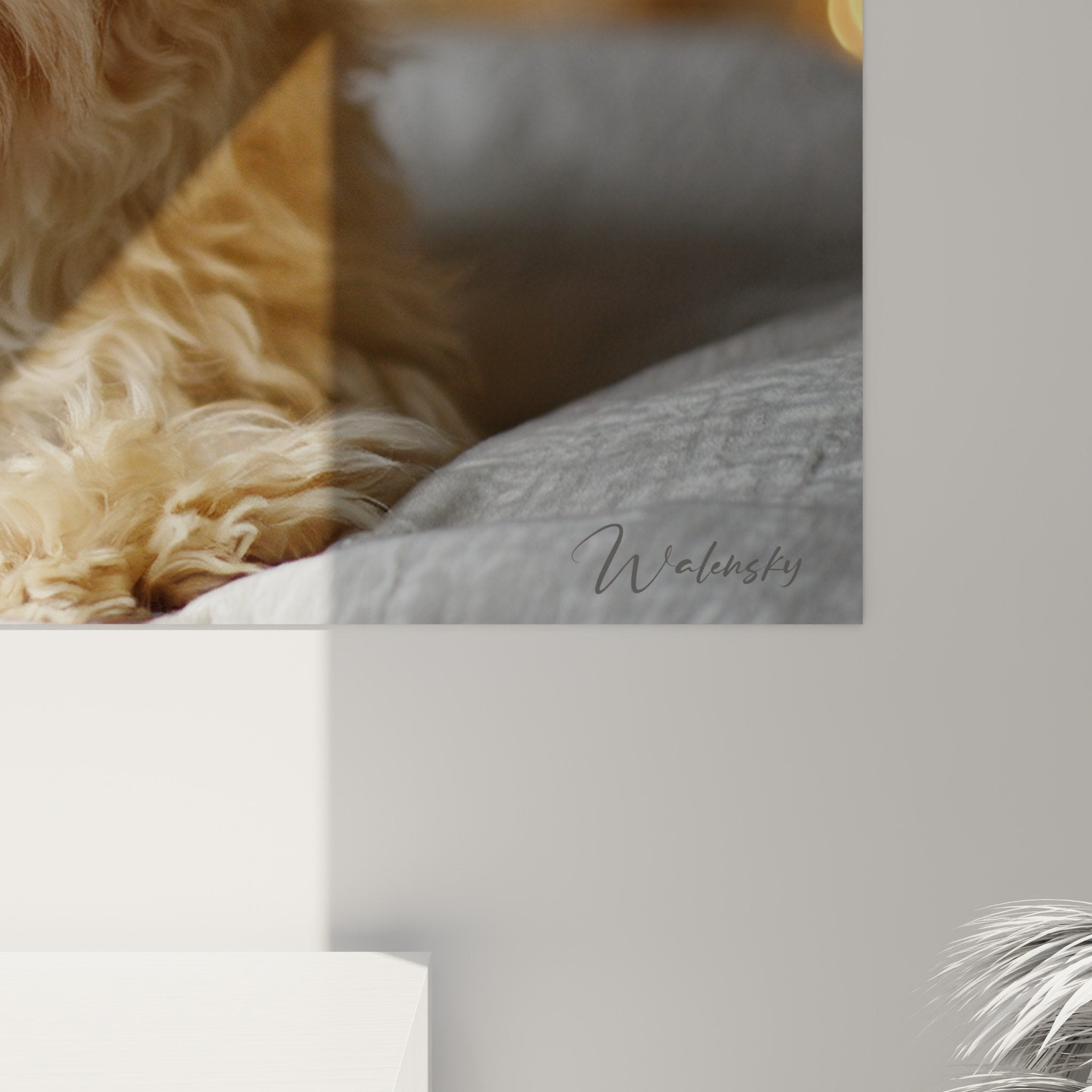 Vue d'ensemble du tableau Bichon Havanais dans salon moderne avec décoration tons chauds dorés