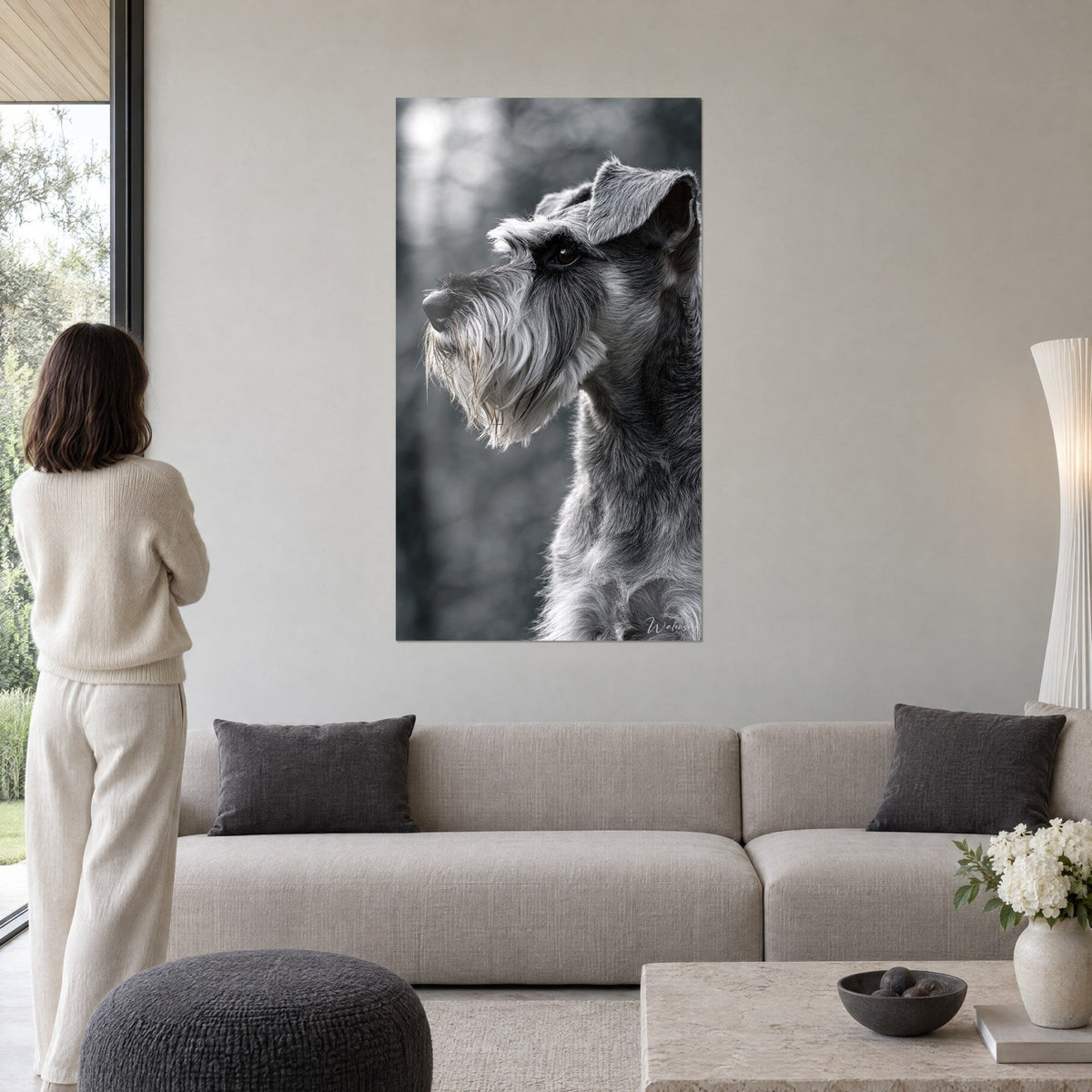 Tableau schnauzer gris en profil, barbe argentée et oreille pliée sur fond flou, femme de dos au-dessus d'un canapé dans un salon lumineux
