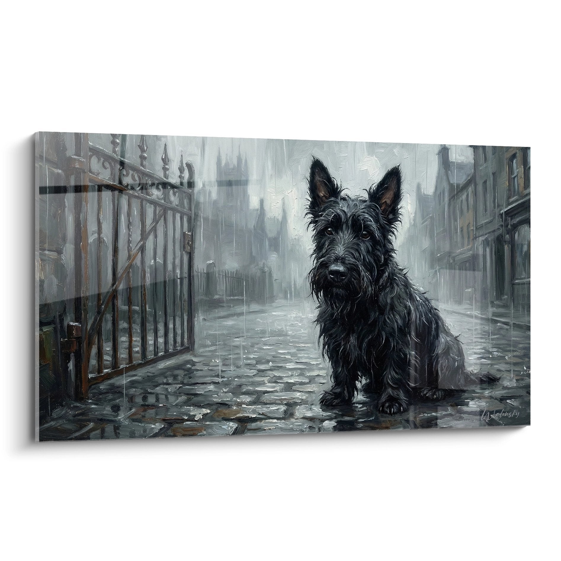 Scottish Terrier noir assis sous la pluie sur pavés mouillés dans rue urbaine grise