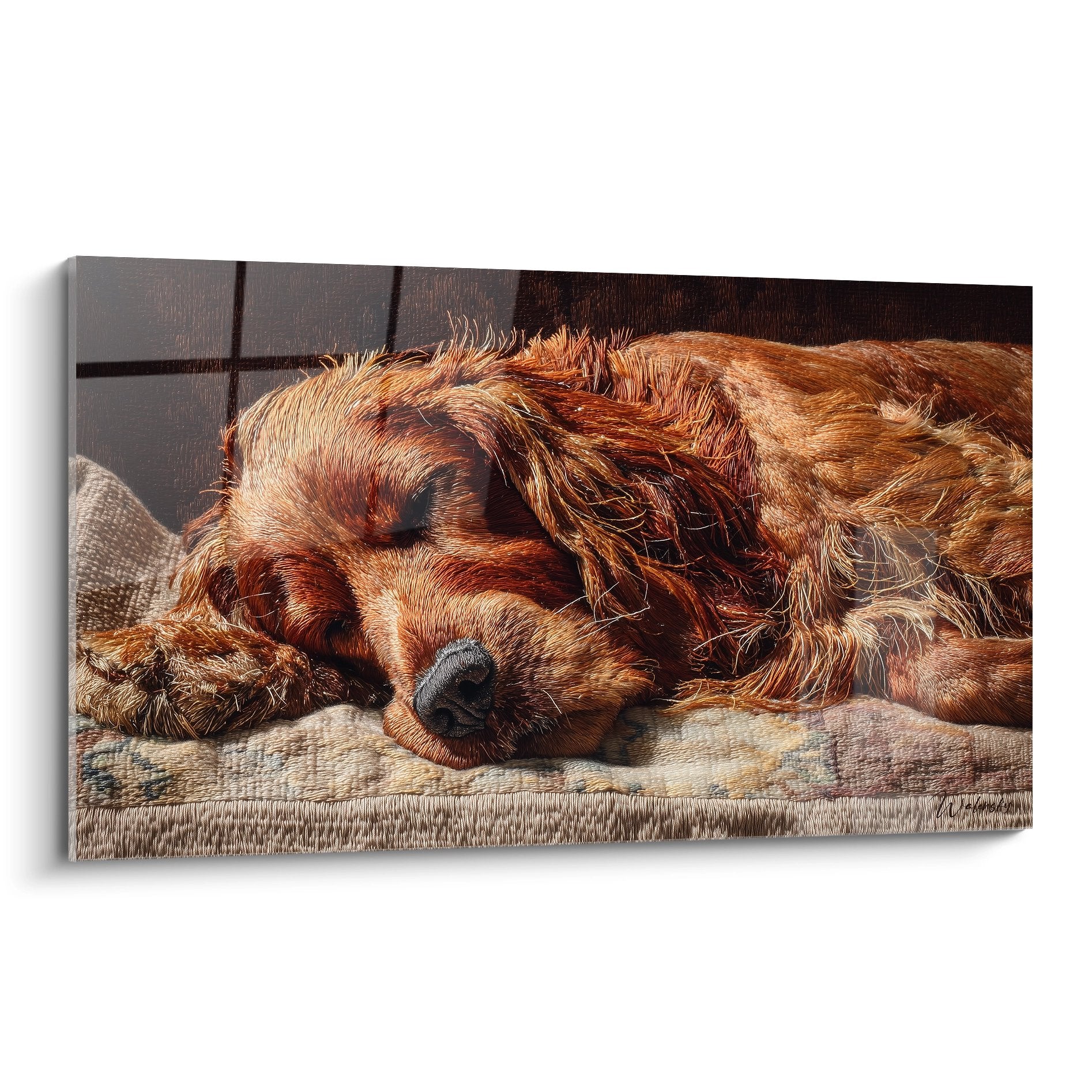 Setter Irlandais roux endormi sur coussin beige, pelage aux reflets dorés et cuivrés, lumière douce