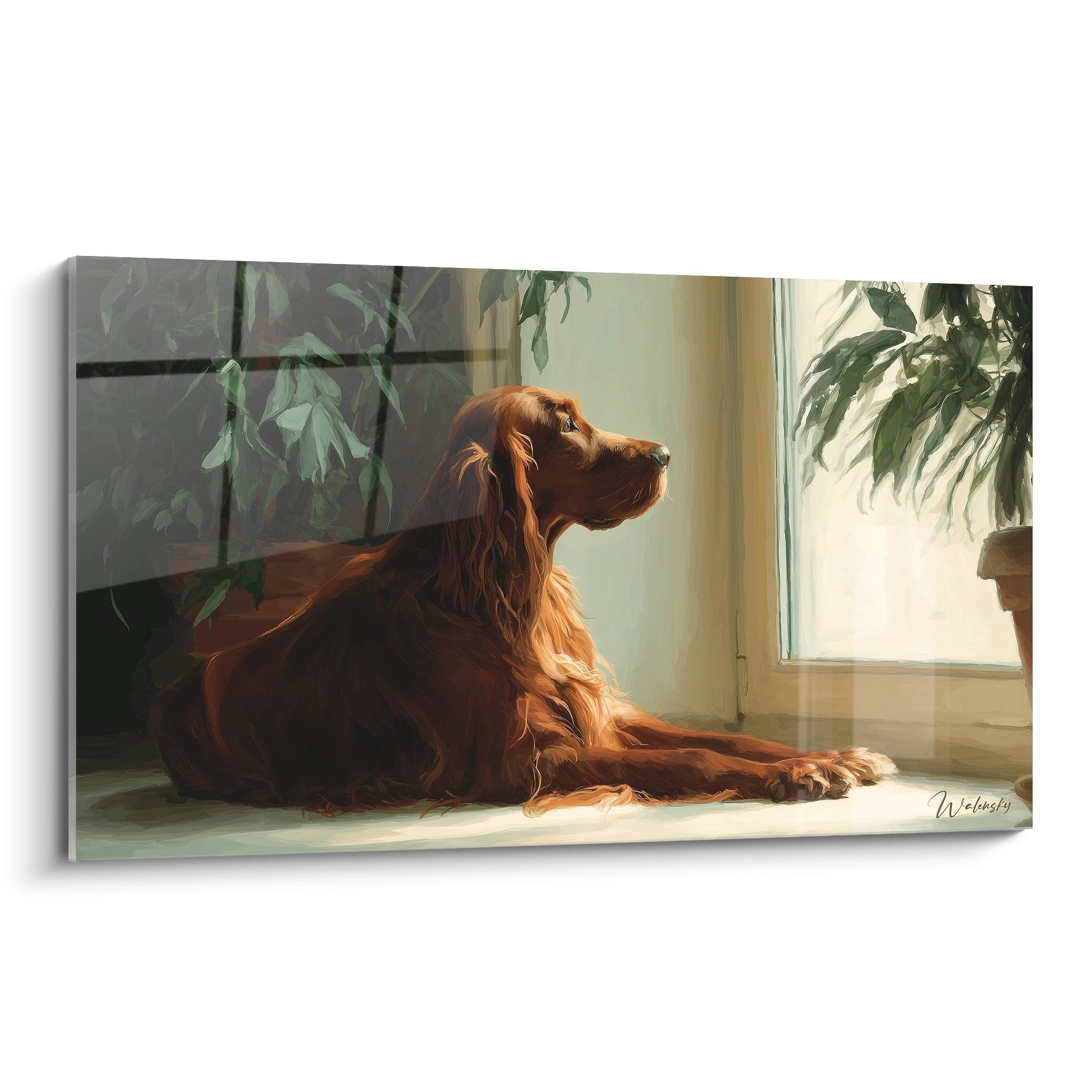 Setter irlandais roux allongé près fenêtre lumière dorée plantes vertes ambiance chaleureuse contemplative