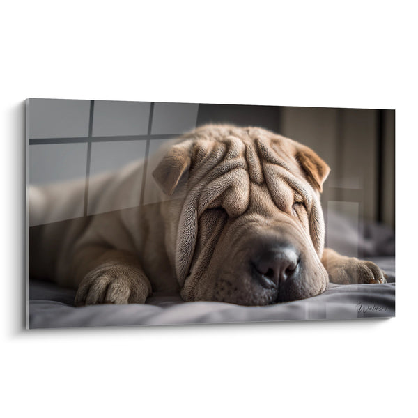 Cuadro Perro con Arrugas Profundas Dormido - Serenidad Canina - Edición Shar Pei