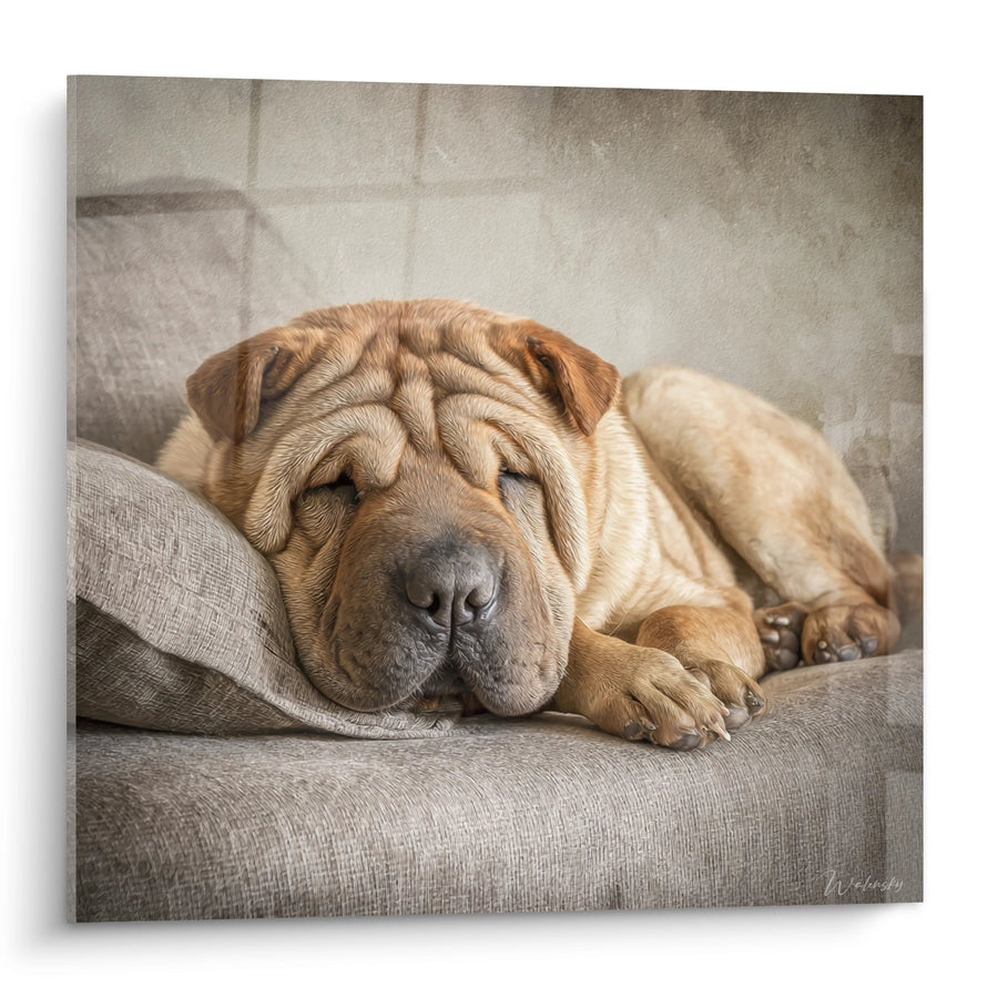 Obraz Shar Pei Śpiącego w Odcieniach Żółci na Beżowej Sofie - Spokój Pieska - Edycja Shar Pei