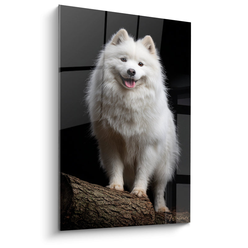 Tableau Chien Blanc Pelage Soyeux sur Tronc d'Arbre - Portrait Lumineux - Edition Spitz Japonais