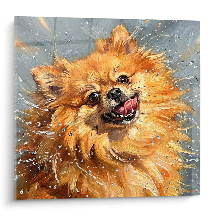 Pomeranian-Spitz Gemälde Wassertropfen - Aquatische Freude - Pomeranian-Spitz Edition