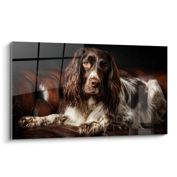 Cuadro de Perro de Ojos Ámbar en Sofá de Cuero - Retrato Íntimo - Edición Springer Inglés