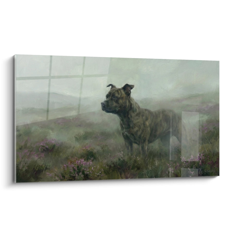 Tableau Staffordshire Bull Terrier Bringé dans un Paysage Brumeux aux Bruyères Violettes - Contemplation Sauvage - Edition Staffordshire Bull Terrier