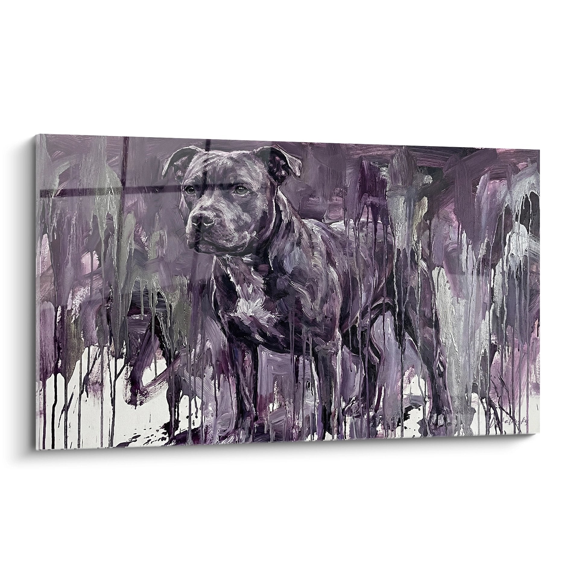 Künstlerisches Porträt Staffordshire Bull Terrier in Violetttönen mit Farbläufen im zeitgenössischen Stil