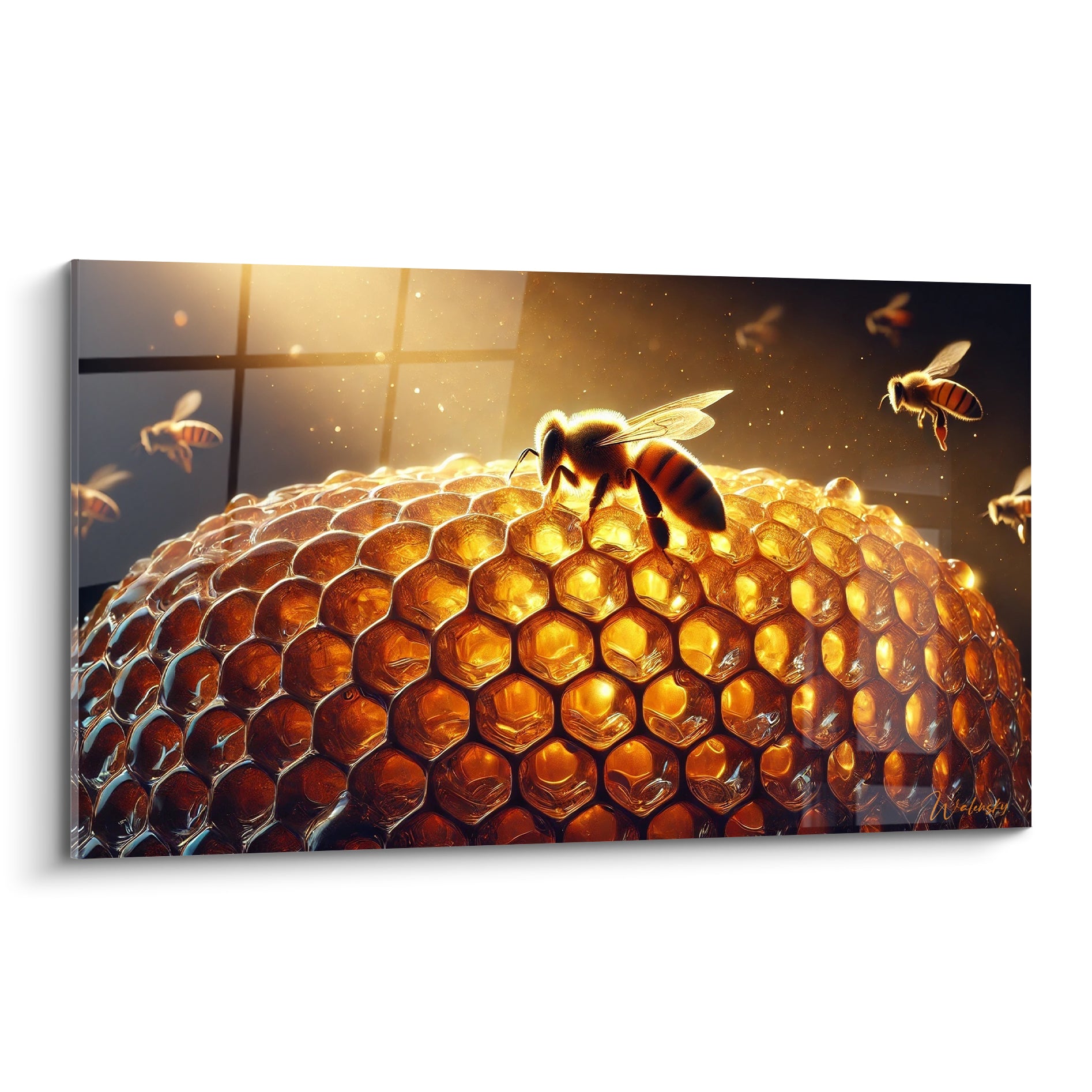 Abeille dorée butinant sur alvéoles ambrées, ailes translucides, fond anthracite éclairé