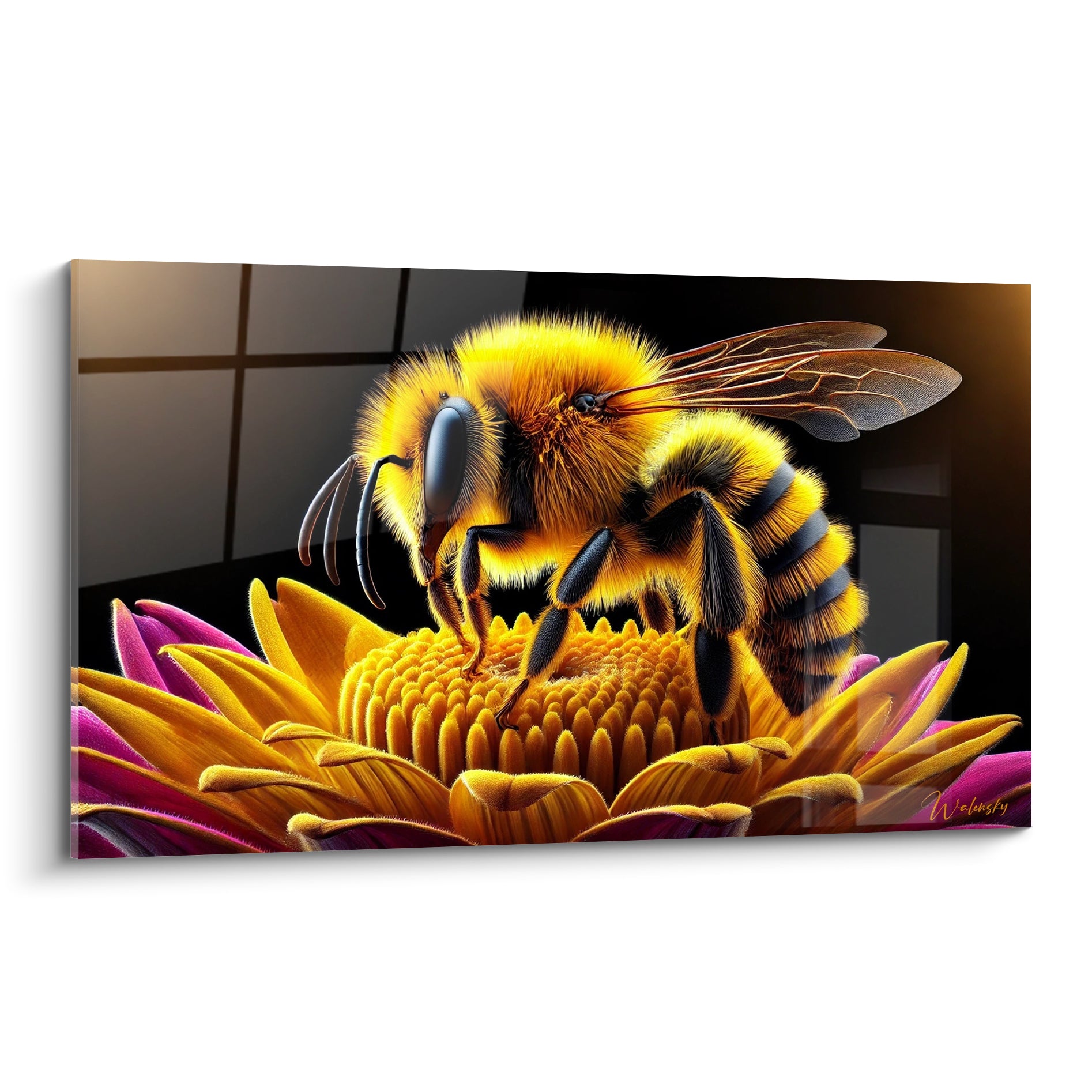 Abeille dorée aux rayures noires butinant une fleur pourpre sur fond anthracite intense