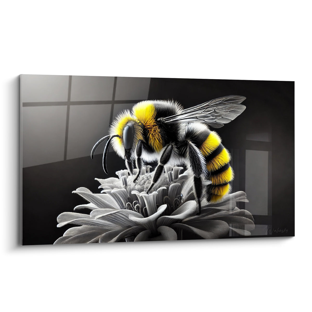 Abeille jaune et noire posée sur une fleur grise, ailes translucides, fond anthracite structuré