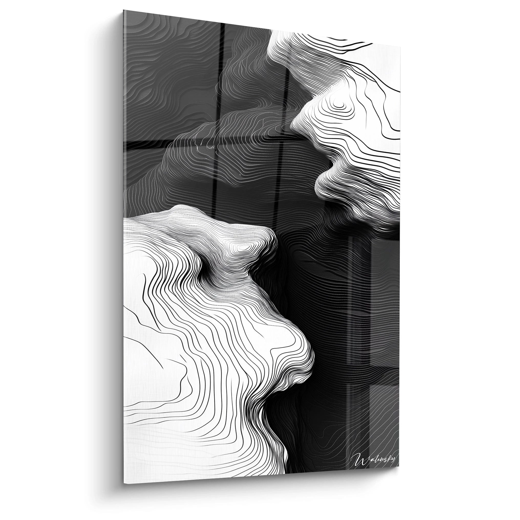 Un tableau rayures noir et blanc représentant des formes ondulantes topographiques, avec des lignes fluides et précises créant une illusion de relief et de profondeur. Les courbes contrastées dessinent des motifs abstraits évoquant des paysages ou des vagues figées dans un mouvement perpétuel.
