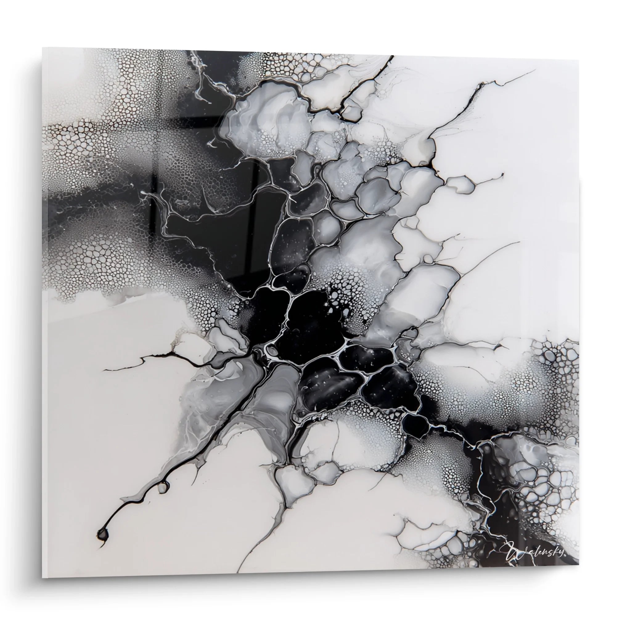 Tableau abstrait noir et blanc aux formes organiques fluides pour décoration murale moderne et élégante