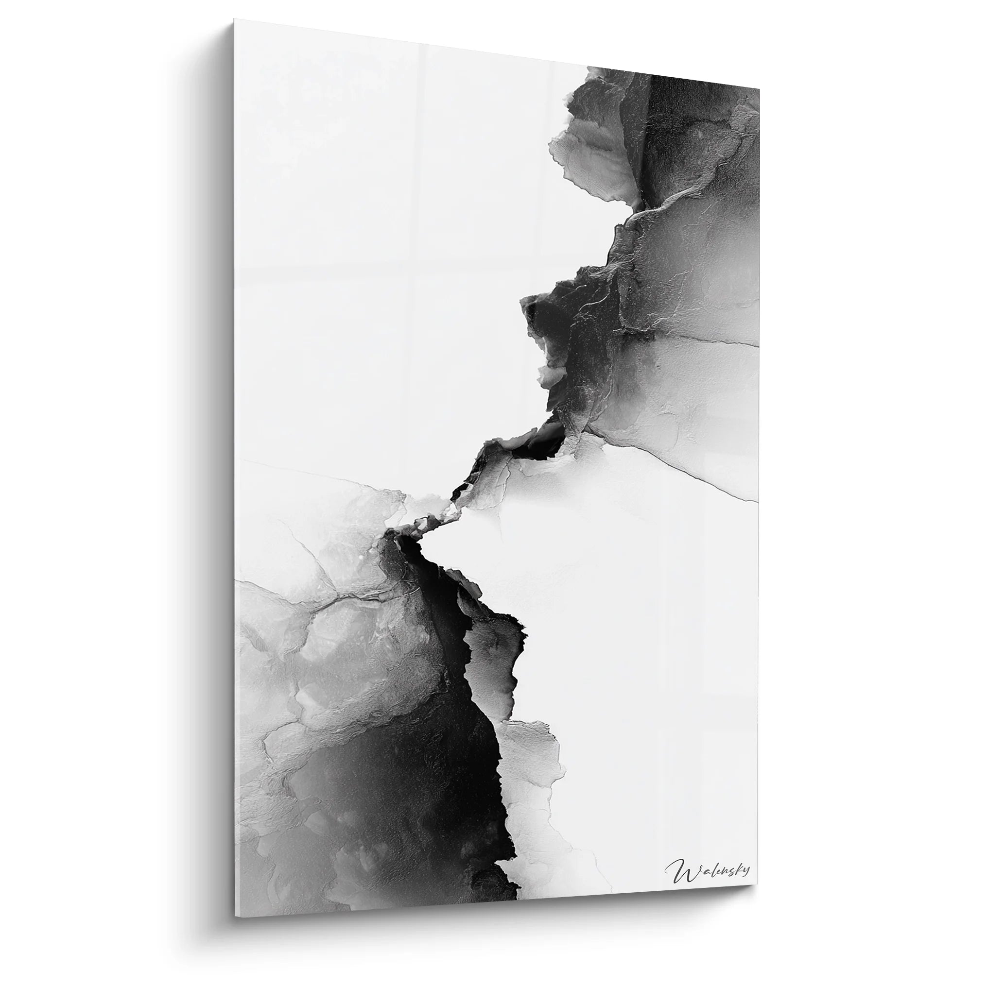 Tableau abstrait noir et blanc aux formes organiques fluides pour décoration murale moderne