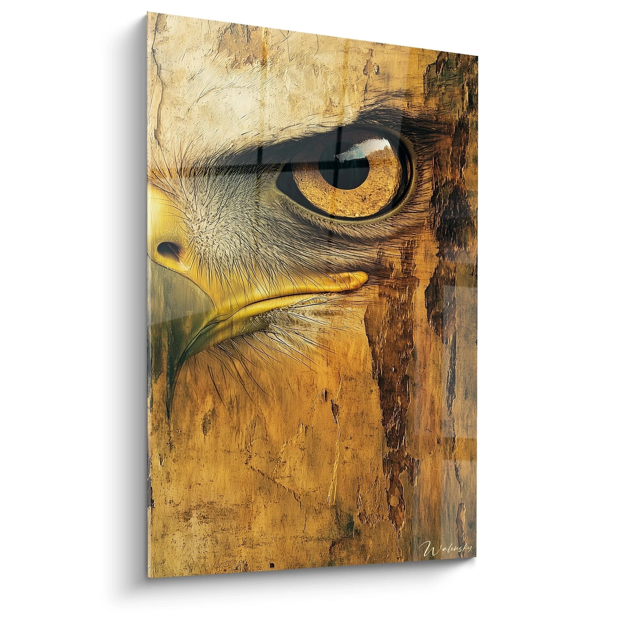 Tableau œil d'aigle grandeur nature avec détails réalistes sur fond bois signé Walensky