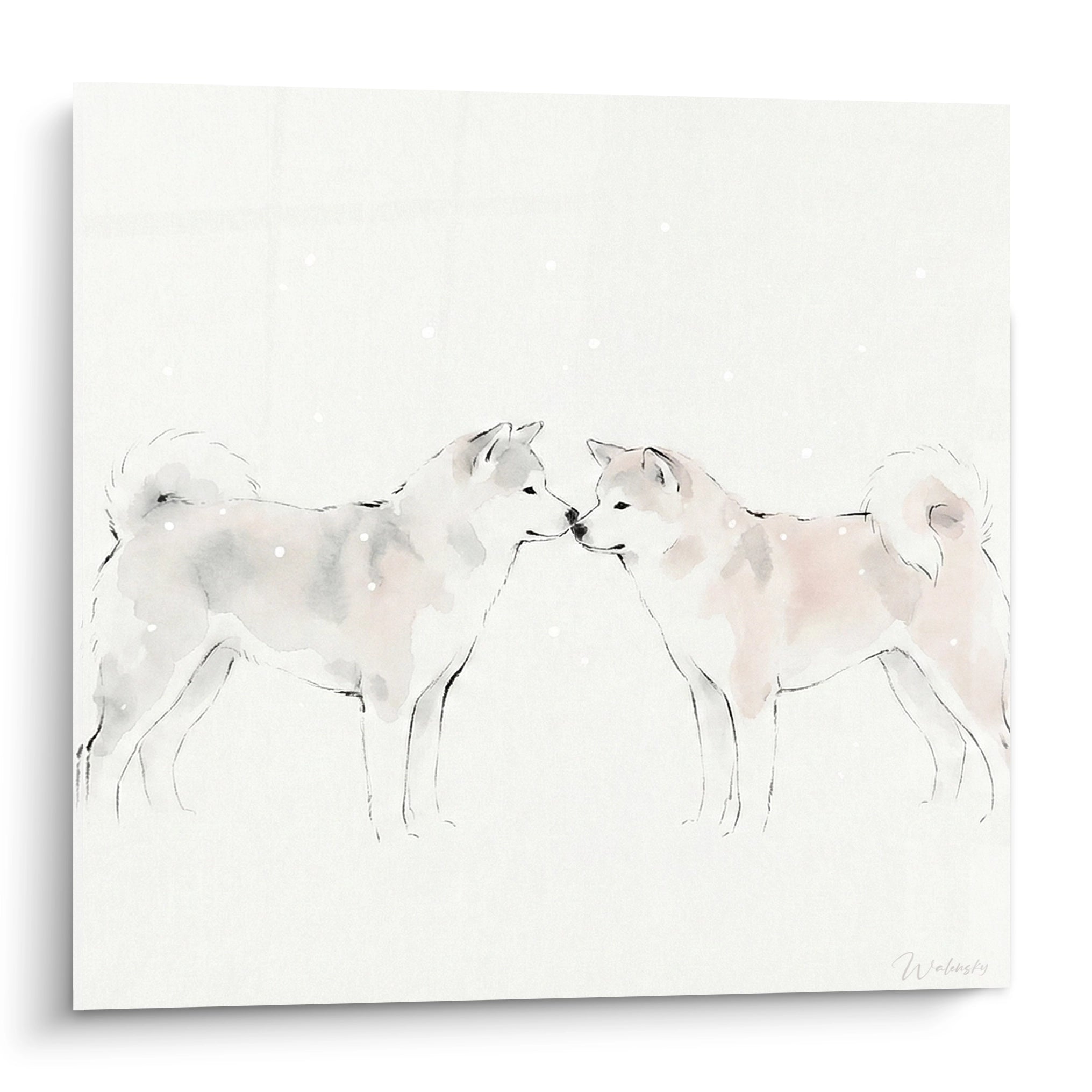 Deux Akita Inu roses et gris se touchent le museau sur fond ivoire moucheté de blanc