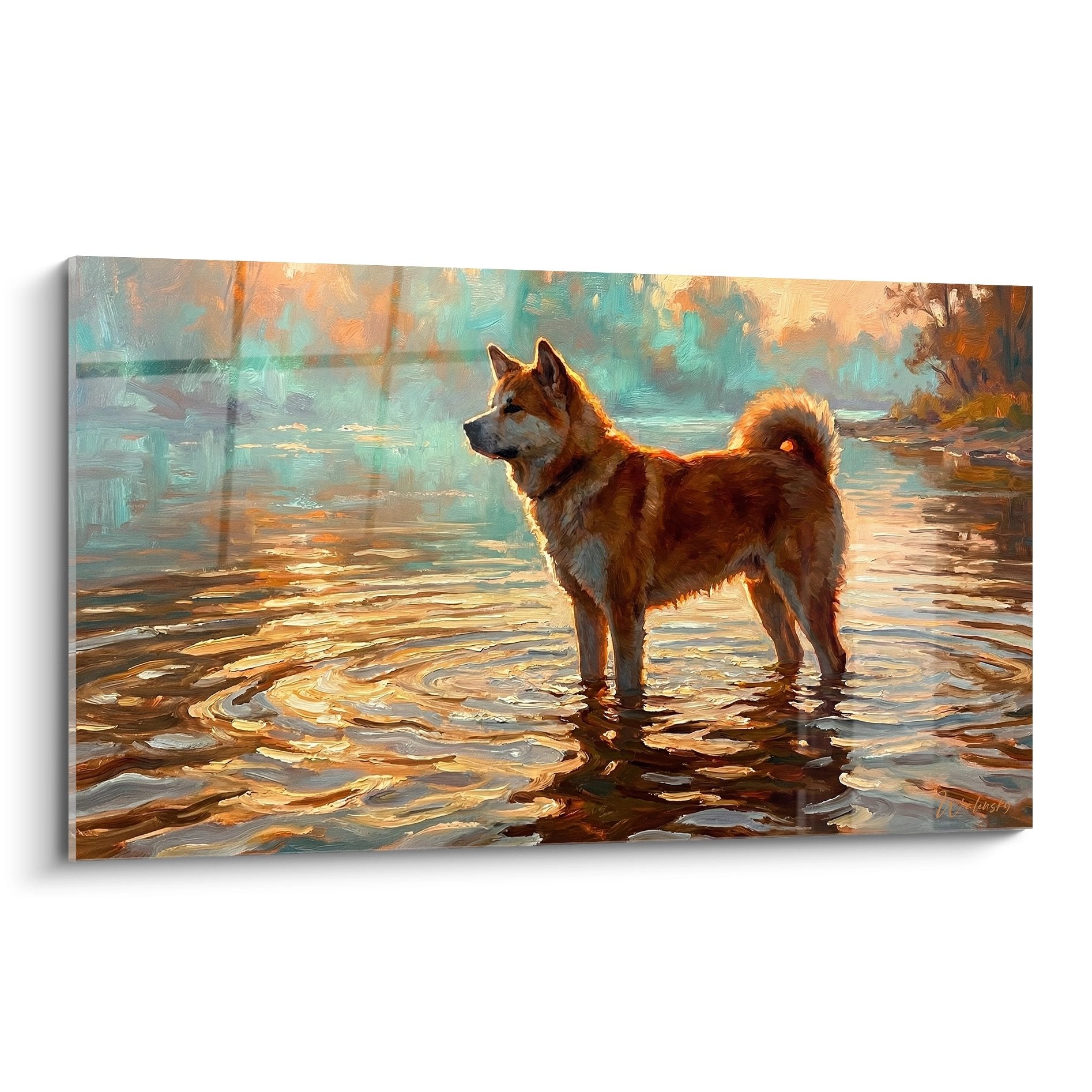 Tableau peinture Akita Inu roux debout dans l'eau au coucher de soleil avec reflets dores