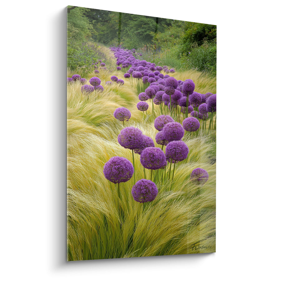 Tabel Alliums Violet in Gouden Weide - Natuurlijke Elegantie - Graslanden Editie
