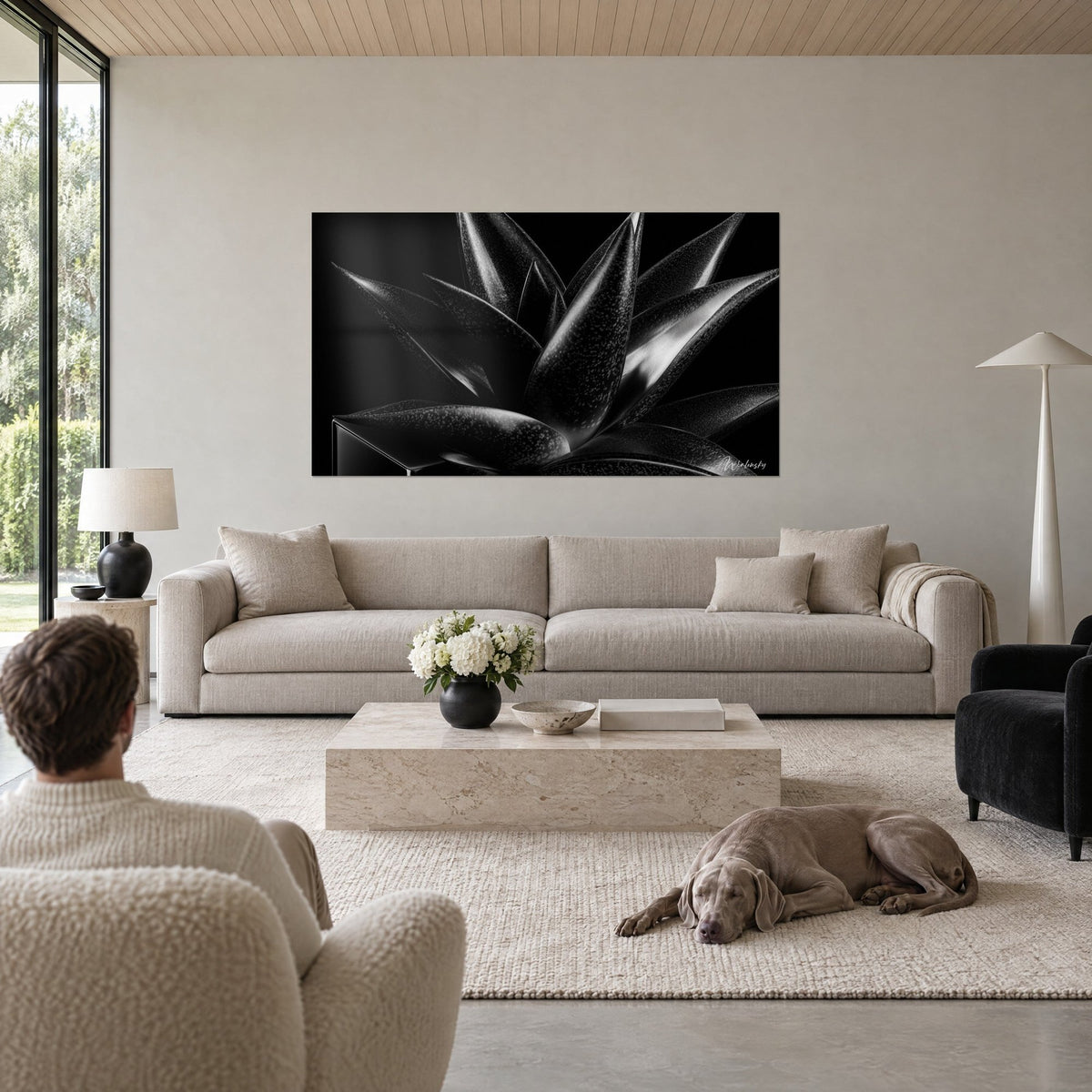 Wall art black and silver aloe vera with pointed leaves, glowing highlights, man seen from behind and recumbent Weimaraner, above a sofa in a bright living room