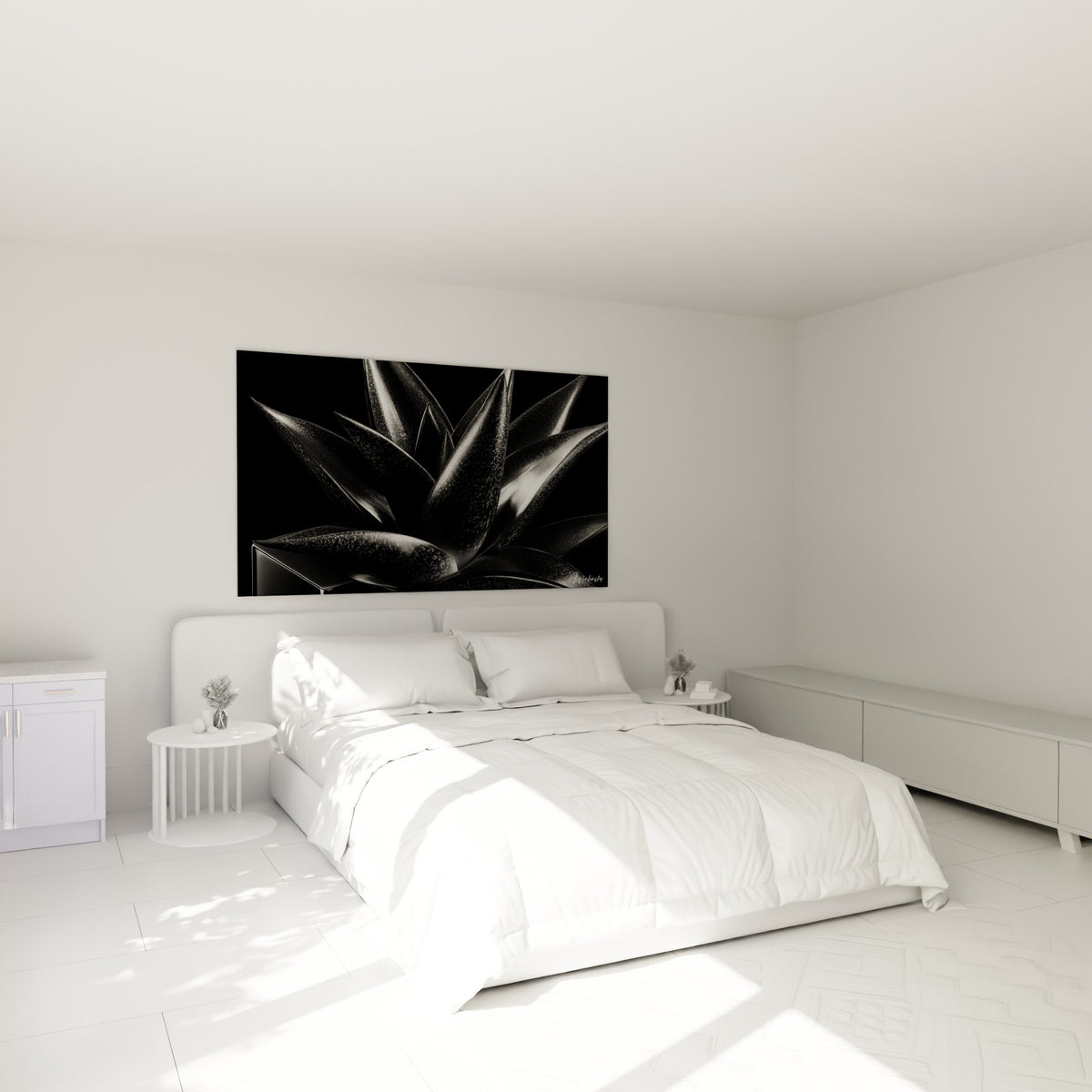 Plante grasse noire et argentée aux feuilles acérées, accrochée au-dessus d'un lit dans une chambre claire