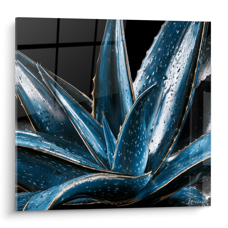 Tableau Aloe vera bleu nuit et gouttelettes d'eau - Rosée matinale figée - Edition Aloe vera