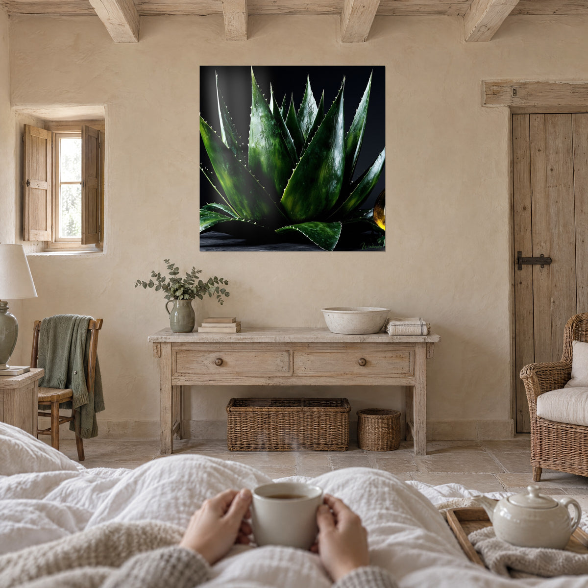Tableau rosette d'aloe vera aux feuilles vert forêt et épines claires sur fond noir, au-dessus d'un lit dans une chambre claire