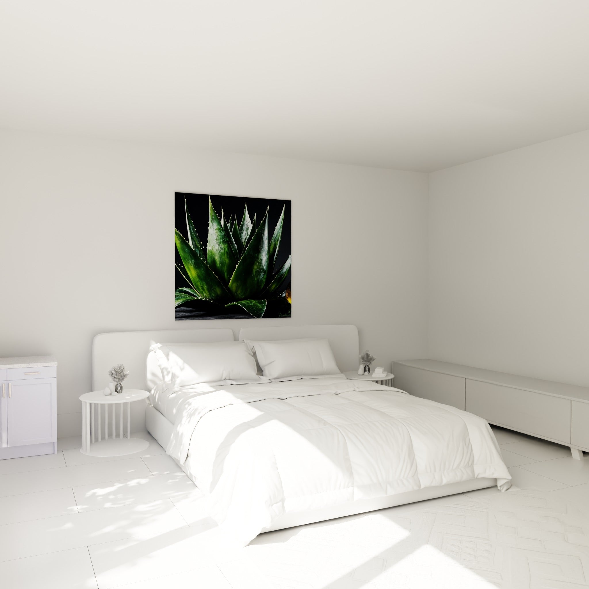 Rosette d'Aloe vera vert et doré, feuilles pointues, accrochée au-dessus d'un lit dans une chambre claire