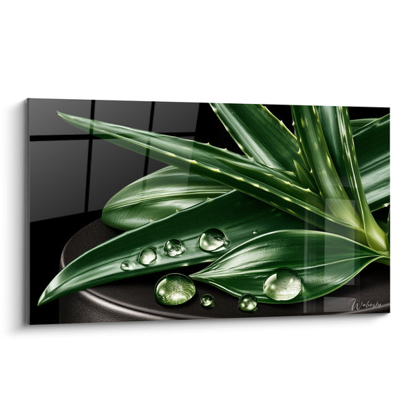 Tableau Aloe vera vert et noir sur pierre plate - Carrelage géométrique en fond - Edition Aloe vera