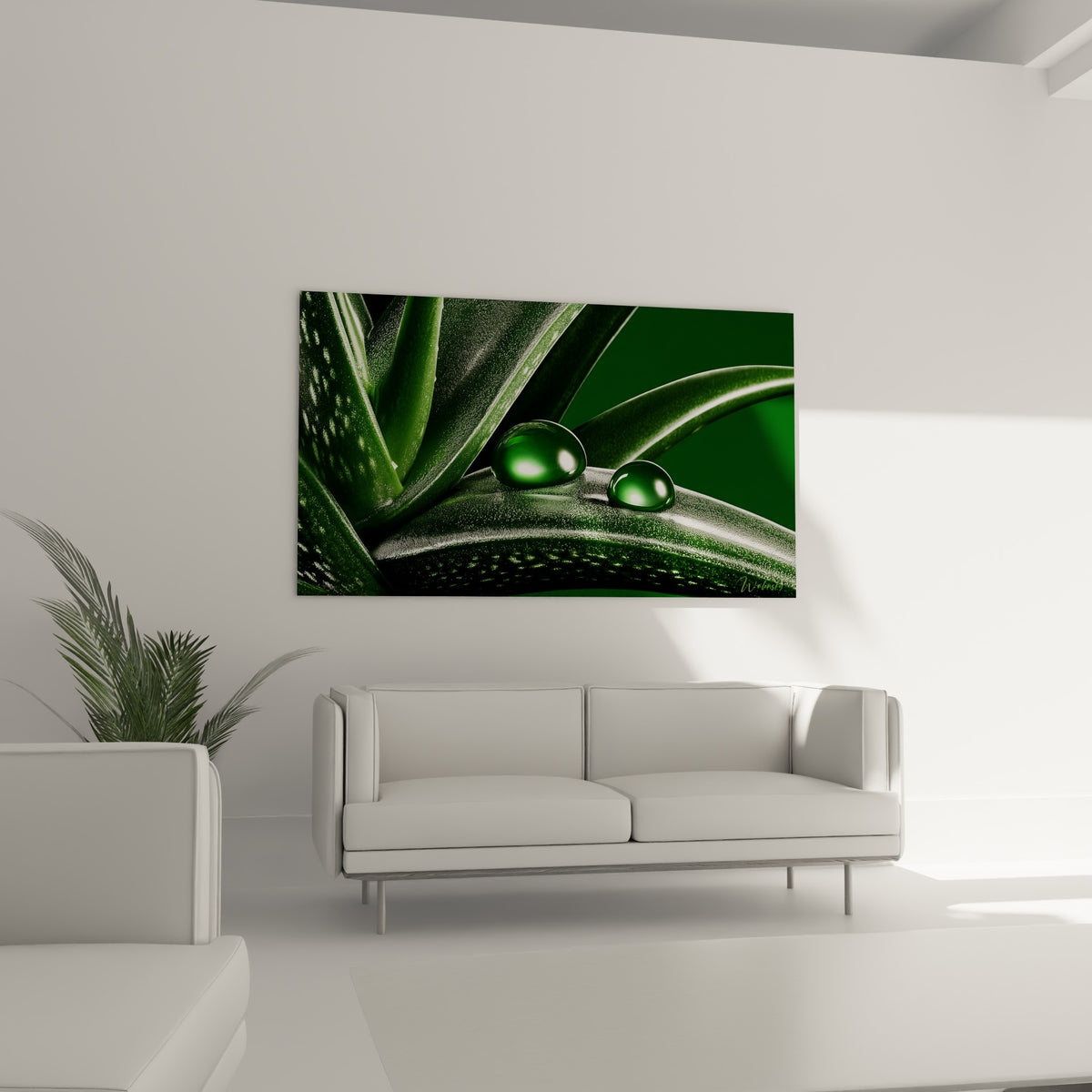 Aloe vera vert émeraude aux reflets anthracite disposé au-dessus d'un canapé dans un salon lumineux