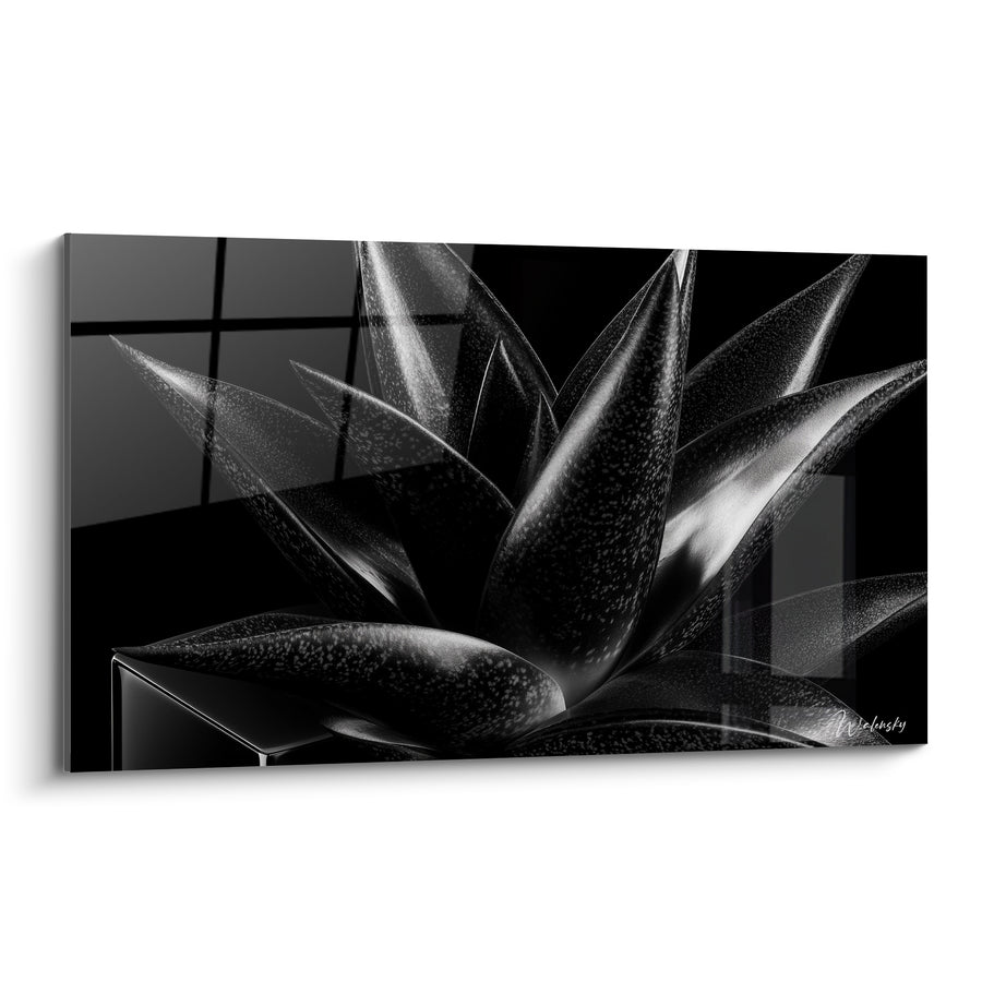 Tableau Aloe vera noir et argenté aux feuilles pointues - Éclat nocturne - Edition Aloe vera