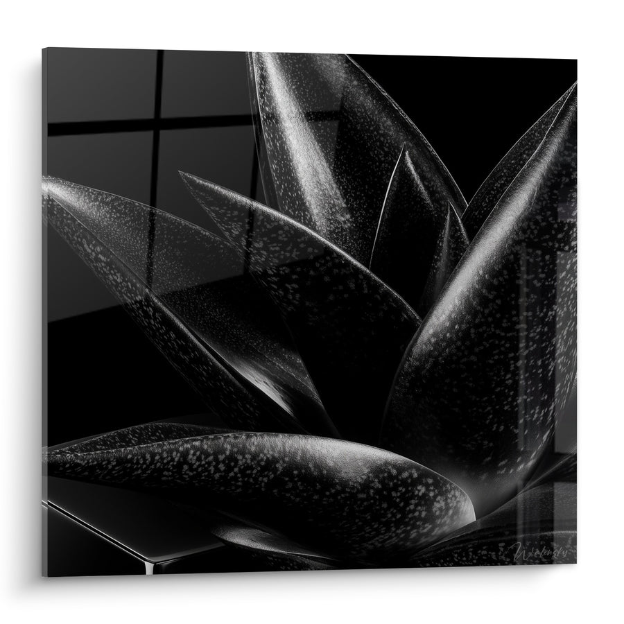 Tableau Aloe vera noir aux mouchetures argentées - Éveil nocturne - Edition Aloe vera